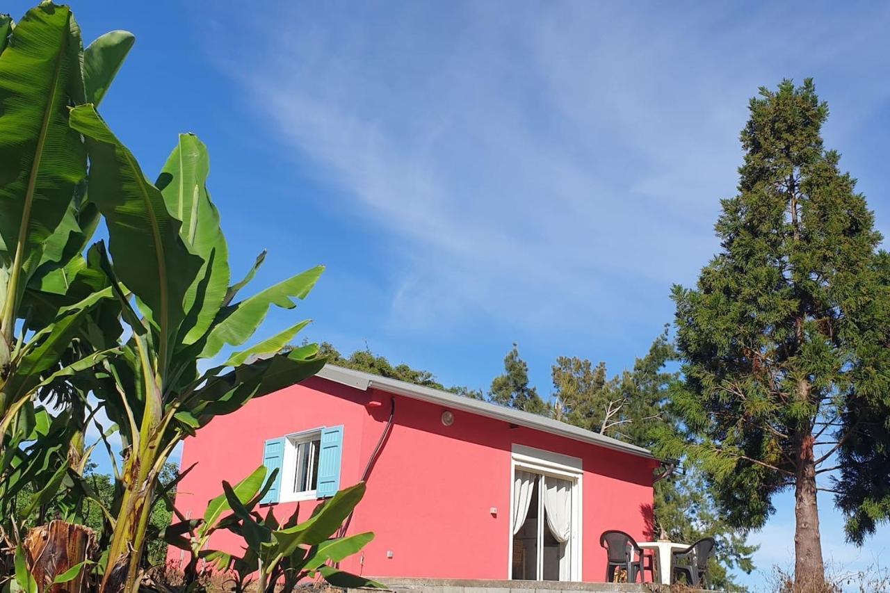 Au Coeur Des Plantations Guest House La Possession Exterior photo